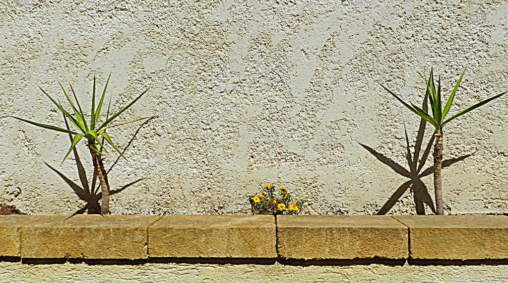 The White Rocks Lido di Noto Exterior foto